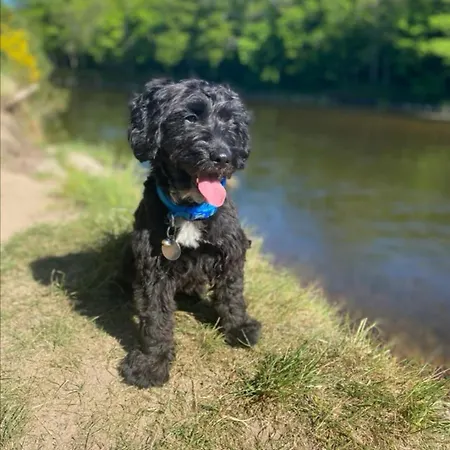 Lakeland 400 Year Old Bavarian With Private Hot Tub Pet Friendly * Kinlough